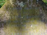 image of grave number 826863